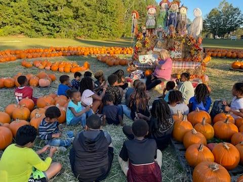 asp pumpkin patch